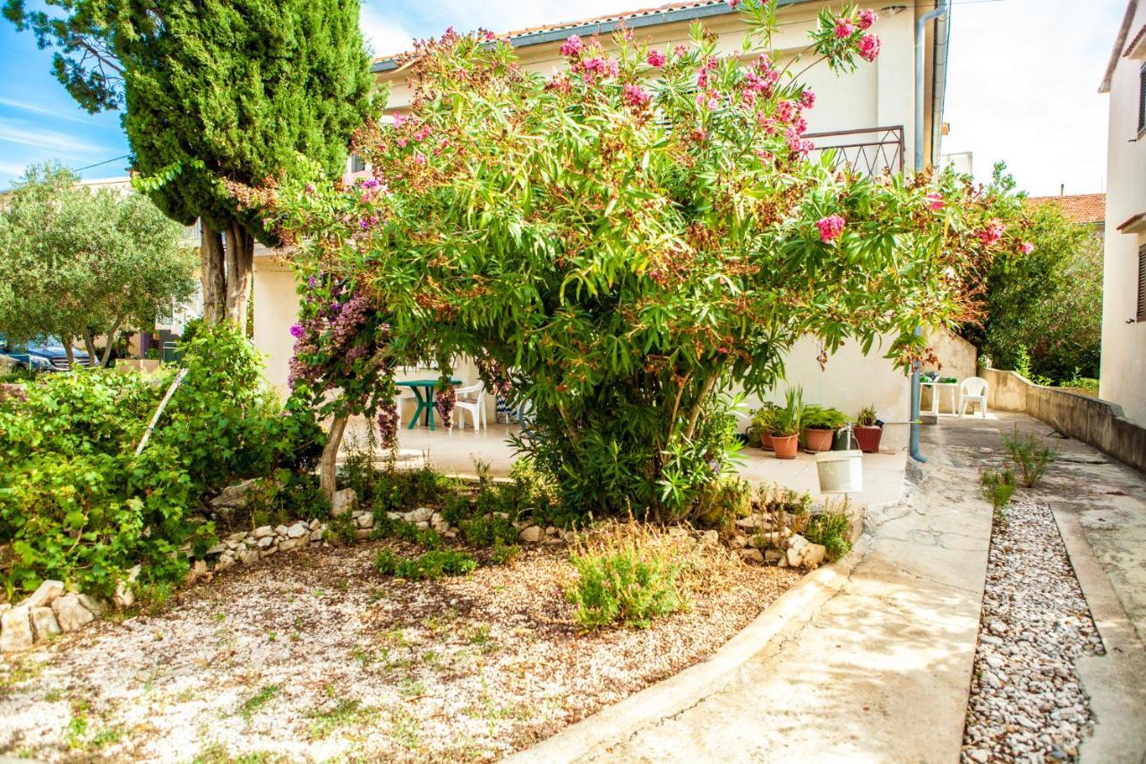 Apartments Alma Novalja Exterior photo